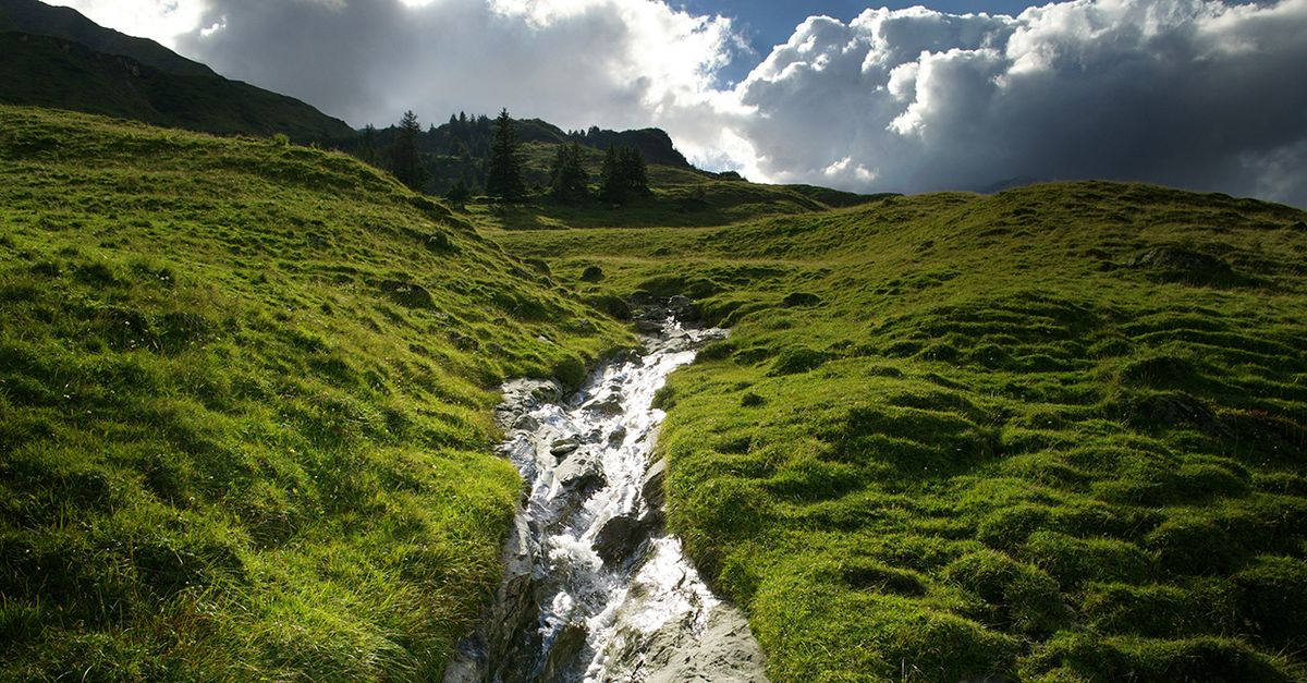 Griesalp Hotels