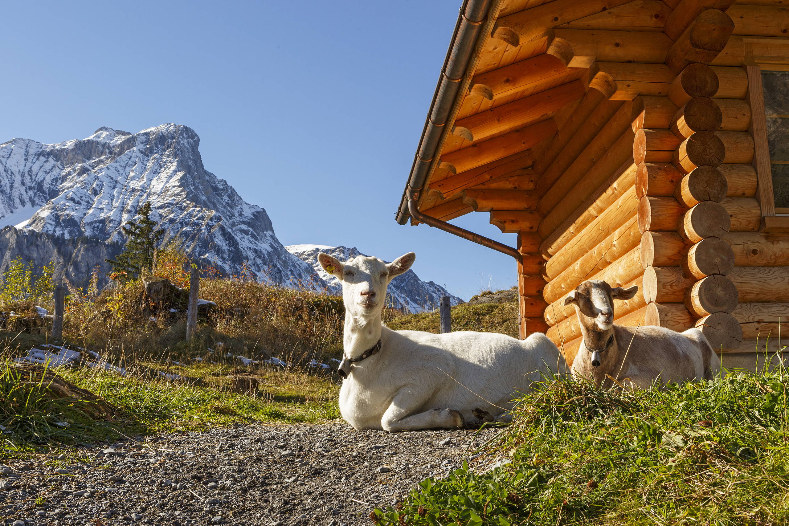 Leichte Wanderungen Griesalp